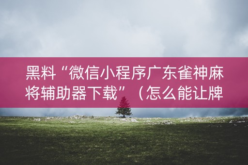 黑料“微信小程序广东雀神麻将辅助器下载”（怎么能让牌好一点)