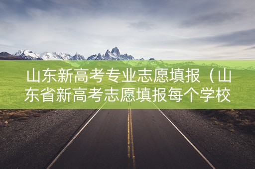 山东新高考专业志愿填报（山东省新高考志愿填报每个学校专业）