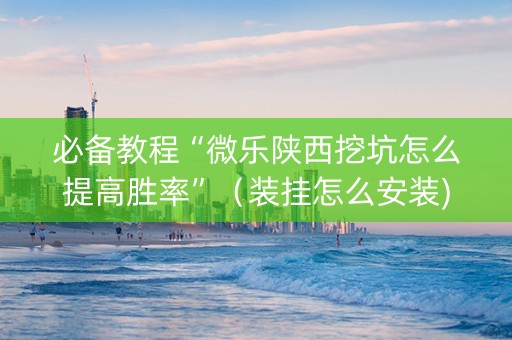 必备教程“微乐陕西挖坑怎么提高胜率”（装挂怎么安装)