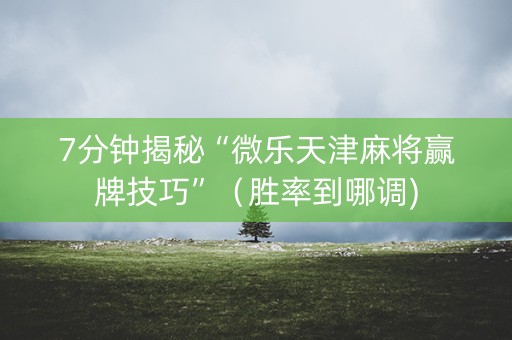 7分钟揭秘“微乐天津麻将赢牌技巧”（胜率到哪调)