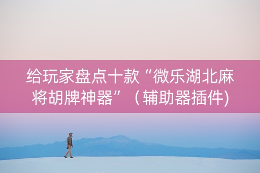 给玩家盘点十款“微乐湖北麻将胡牌神器”（辅助器插件)