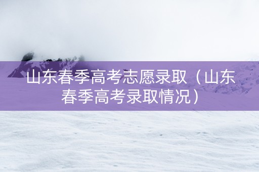 山东春季高考志愿录取（山东春季高考录取情况）