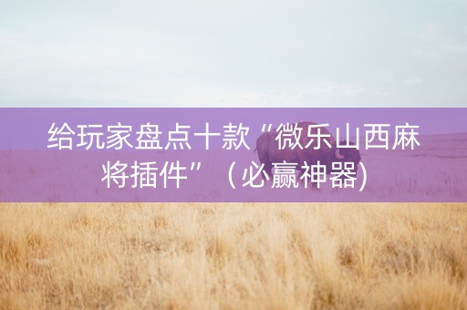 给玩家盘点十款“微乐山西麻将插件”（必赢神器)