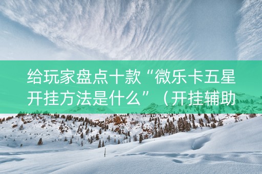 给玩家盘点十款“微乐卡五星开挂方法是什么”（开挂辅助插件)