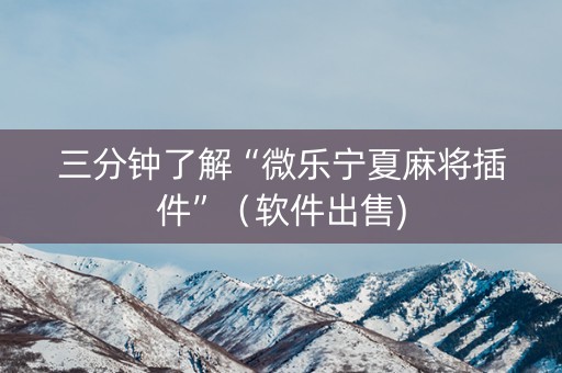 三分钟了解“微乐宁夏麻将插件”（软件出售)