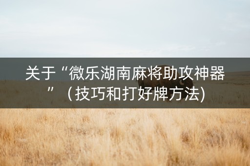 关于“微乐湖南麻将助攻神器”（技巧和打好牌方法)