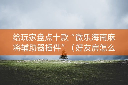 给玩家盘点十款“微乐海南麻将辅助器插件”（好友房怎么才能赢)