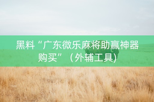 黑料“广东微乐麻将助赢神器购买”（外辅工具)