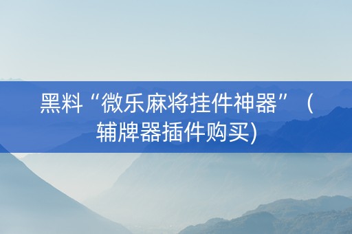 黑料“微乐麻将挂件神器”（辅牌器插件购买)