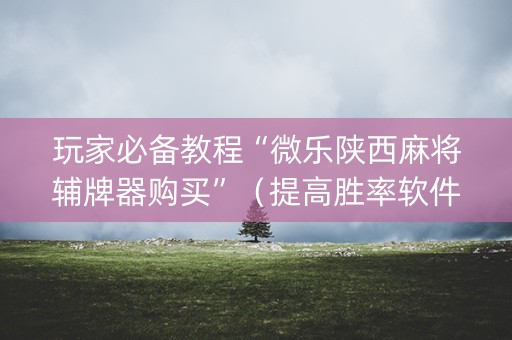 玩家必备教程“微乐陕西麻将辅牌器购买”（提高胜率软件)