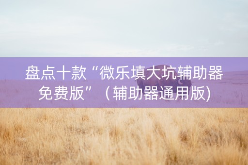 盘点十款“微乐填大坑辅助器免费版”（辅助器通用版)