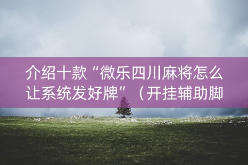 介绍十款“微乐四川麻将怎么让系统发好牌”（开挂辅助脚本)