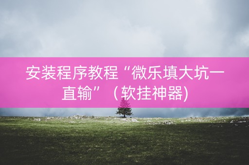 安装程序教程“微乐填大坑一直输”（软挂神器)