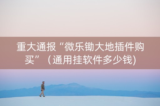 重大通报“微乐锄大地插件购买”（通用挂软件多少钱)