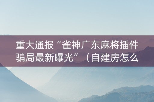 重大通报“雀神广东麻将插件骗局最新曝光”（自建房怎么拿好牌)