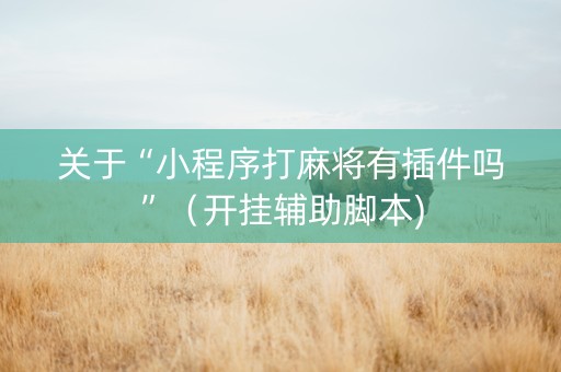 关于“小程序打麻将有插件吗”（开挂辅助脚本)