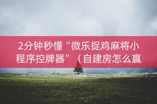 2分钟秒懂“微乐捉鸡麻将小程序控牌器”（自建房怎么赢)