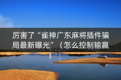 厉害了“雀神广东麻将插件骗局最新曝光”（怎么控制输赢)
