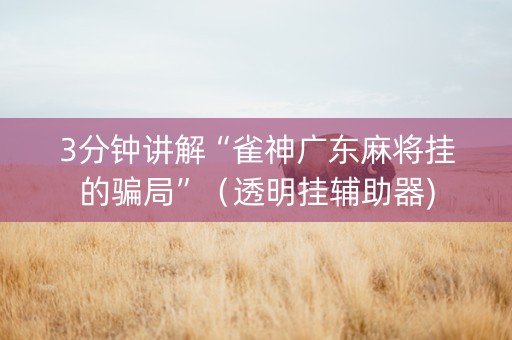 3分钟讲解“雀神广东麻将挂的骗局”（透明挂辅助器)