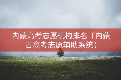 内蒙高考志愿机构排名（内蒙古高考志愿辅助系统）