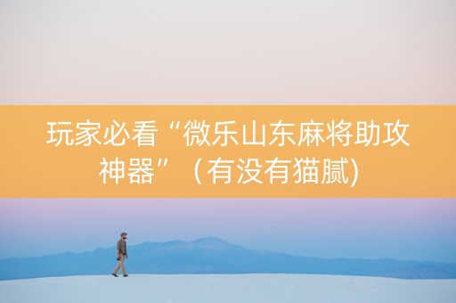 玩家必看“微乐山东麻将助攻神器”（有没有猫腻)