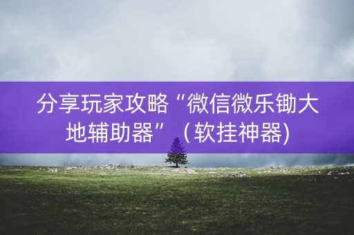 分享玩家攻略“微信微乐锄大地辅助器”（软挂神器)