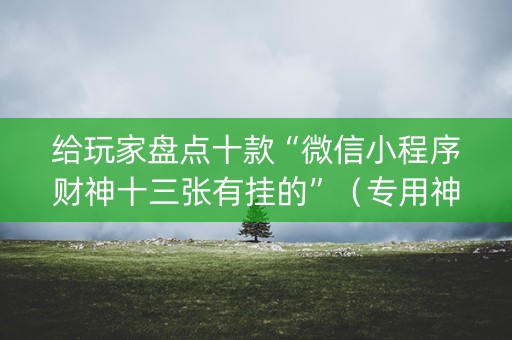 给玩家盘点十款“微信小程序财神十三张有挂的”（专用神器下载)