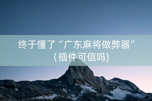 终于懂了“广东麻将做弊器”（插件可信吗)