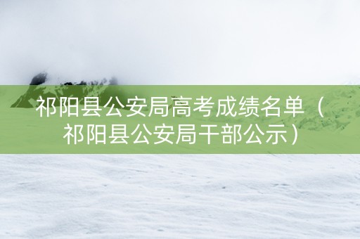 祁阳县公安局高考成绩名单（祁阳县公安局干部公示）