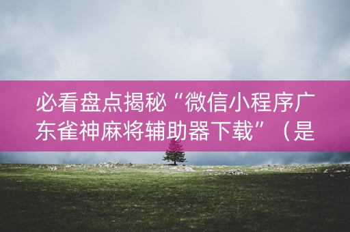 必看盘点揭秘“微信小程序广东雀神麻将辅助器下载”（是否能开挂)