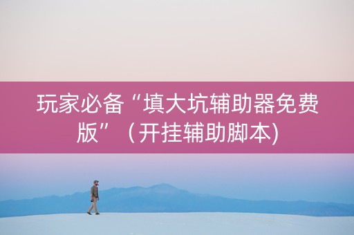 玩家必备“填大坑辅助器免费版”（开挂辅助脚本)