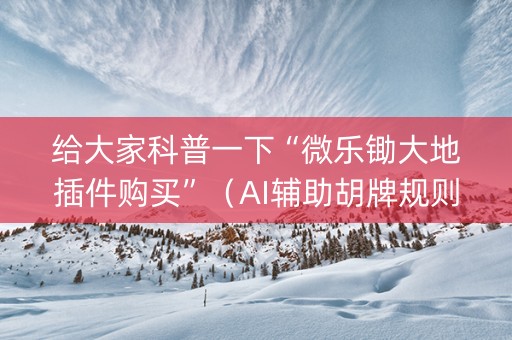 给大家科普一下“微乐锄大地插件购买”（AI辅助胡牌规则)
