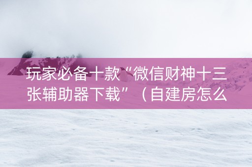 玩家必备十款“微信财神十三张辅助器下载”（自建房怎么拿好牌)