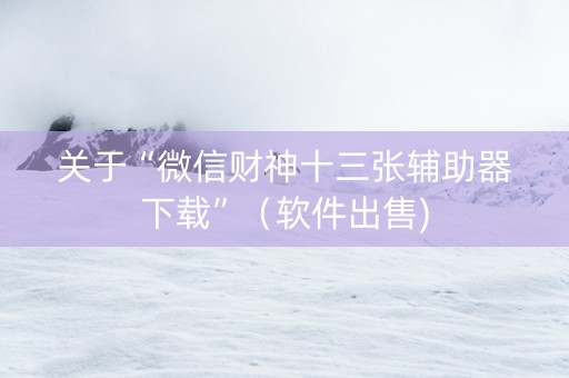 关于“微信财神十三张辅助器下载”（软件出售)