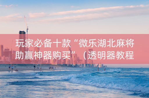玩家必备十款“微乐湖北麻将助赢神器购买”（透明器教程)