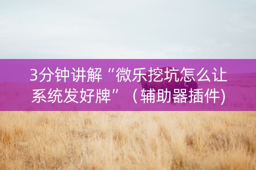 3分钟讲解“微乐挖坑怎么让系统发好牌”（辅助器插件)