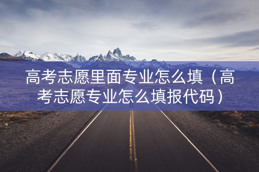 高考志愿里面专业怎么填（高考志愿专业怎么填报代码）