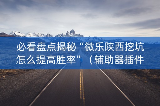 必看盘点揭秘“微乐陕西挖坑怎么提高胜率”（辅助器插件)