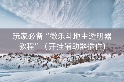 玩家必备“微乐斗地主透明器教程”（开挂辅助器插件)