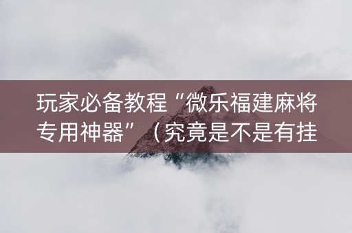玩家必备教程“微乐福建麻将专用神器”（究竟是不是有挂)