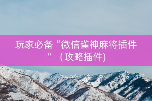 玩家必备“微信雀神麻将插件”（攻略插件)