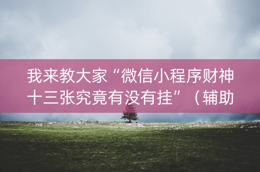 我来教大家“微信小程序财神十三张究竟有没有挂”（辅助器下载)