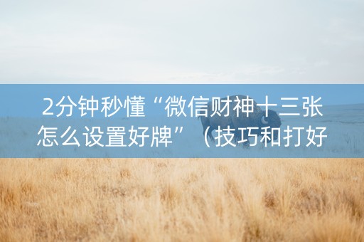 2分钟秒懂“微信财神十三张怎么设置好牌”（技巧和打好牌方法)