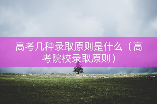 高考几种录取原则是什么（高考院校录取原则）