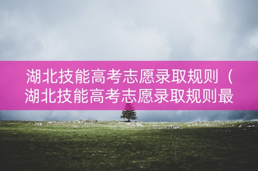 湖北技能高考志愿录取规则（湖北技能高考志愿录取规则最新）