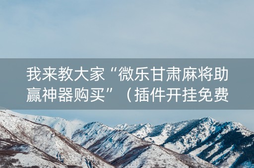 我来教大家“微乐甘肃麻将助赢神器购买”（插件开挂免费AI)