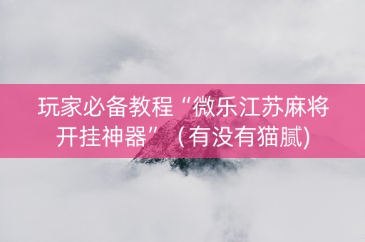 玩家必备教程“微乐江苏麻将开挂神器”（有没有猫腻)