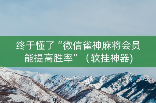 终于懂了“微信雀神麻将会员能提高胜率”（软挂神器)