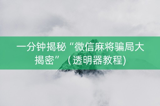 一分钟揭秘“微信麻将骗局大揭密”（透明器教程)