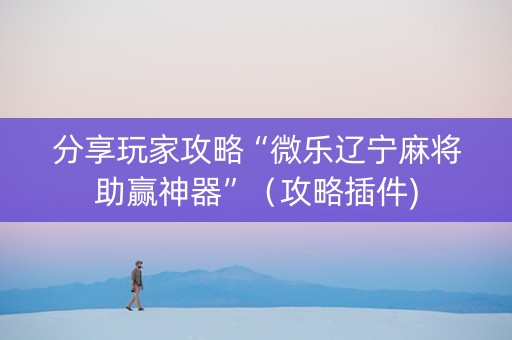 分享玩家攻略“微乐辽宁麻将助赢神器”（攻略插件)